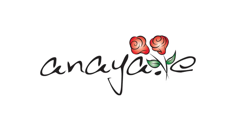 Anaya E logo