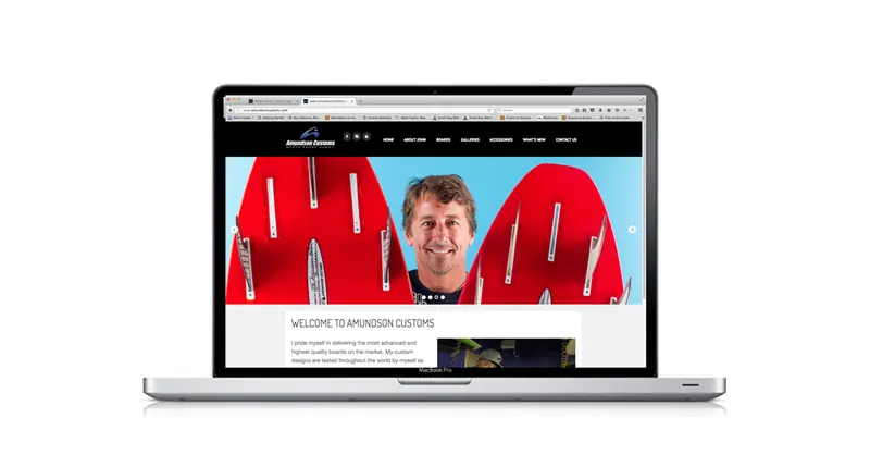 Amundson website